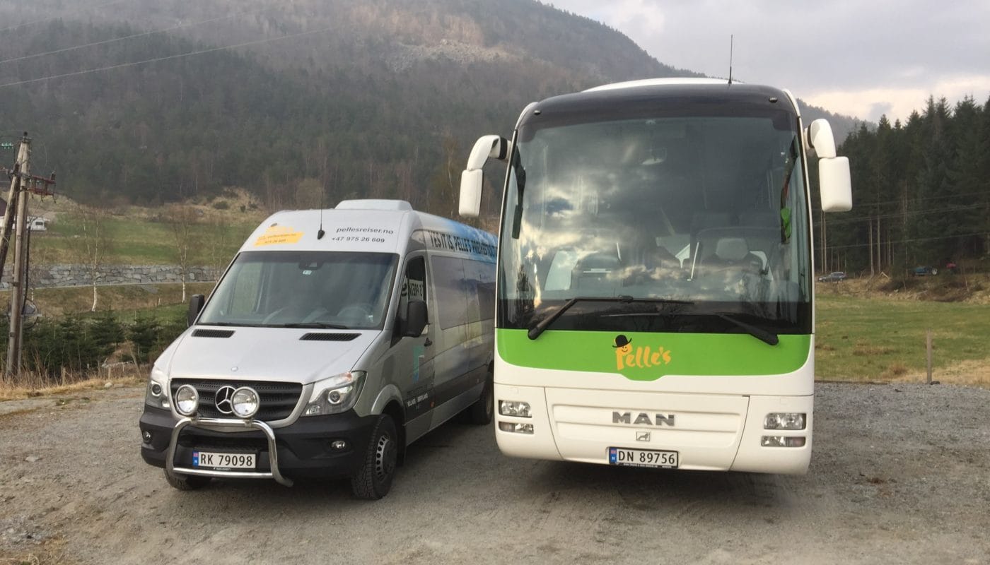 Bussturer
